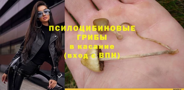 герыч Алзамай