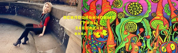 герыч Алзамай