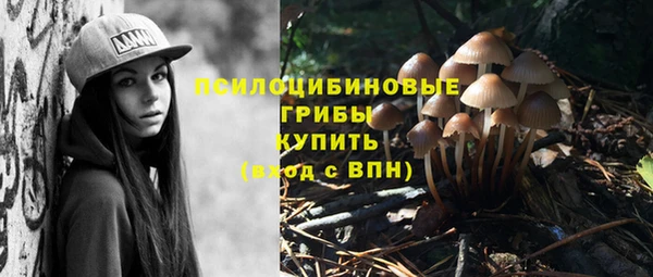 мескалин Алексеевка