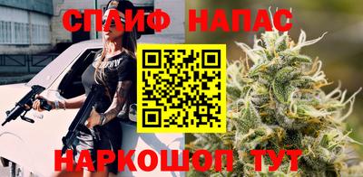 СК Бийск
