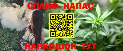 СК Бийск