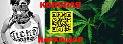 шишки Берёзовский