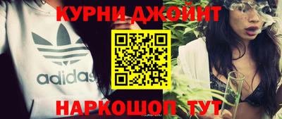СК Бийск