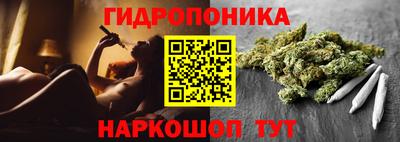 СК Бийск