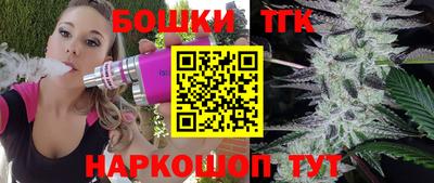 СК Бийск