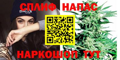 шишки Берёзовский