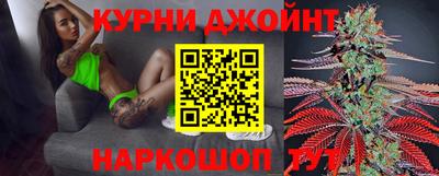 СК Бийск