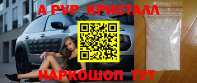 СК Бийск