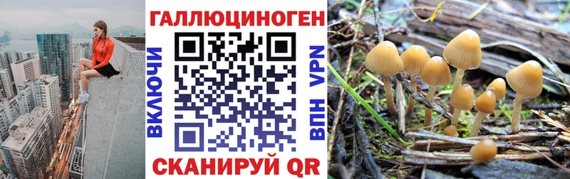 KRAKEN ссылки  Владивосток  Галлюциногенные грибы MAGIC MUSHROOMS  где можно купить  