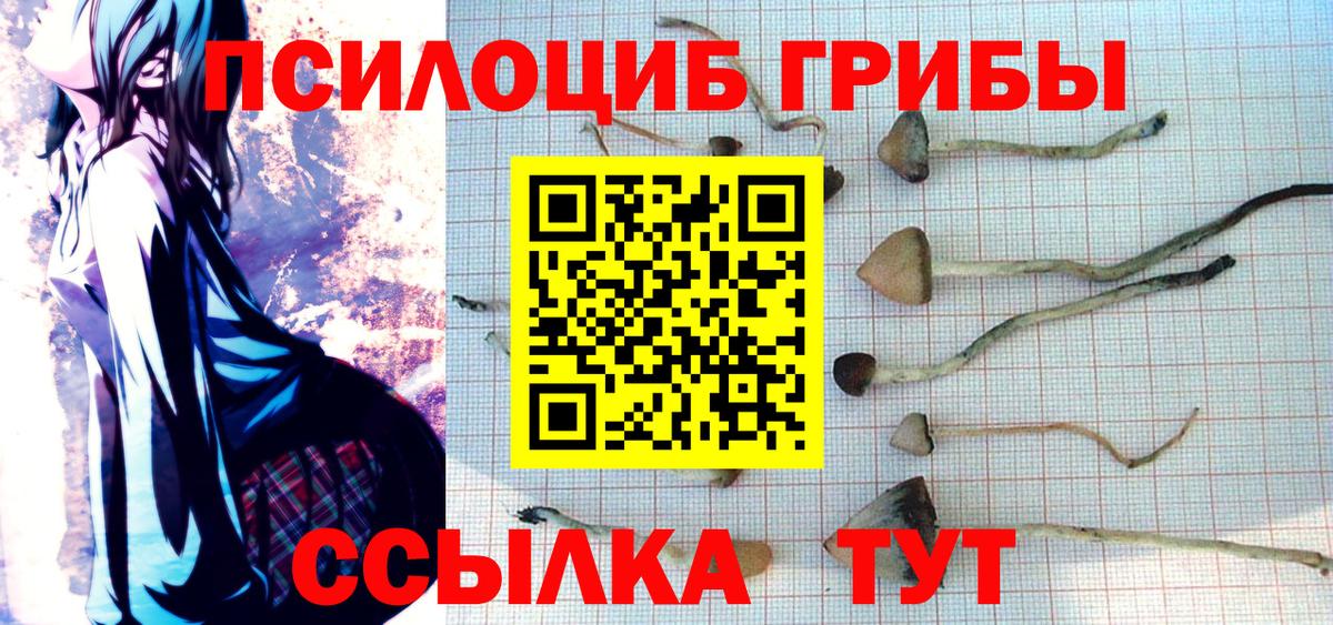 Владивосток  Галлюциногенные грибы ЛСД  Вход с VPN 